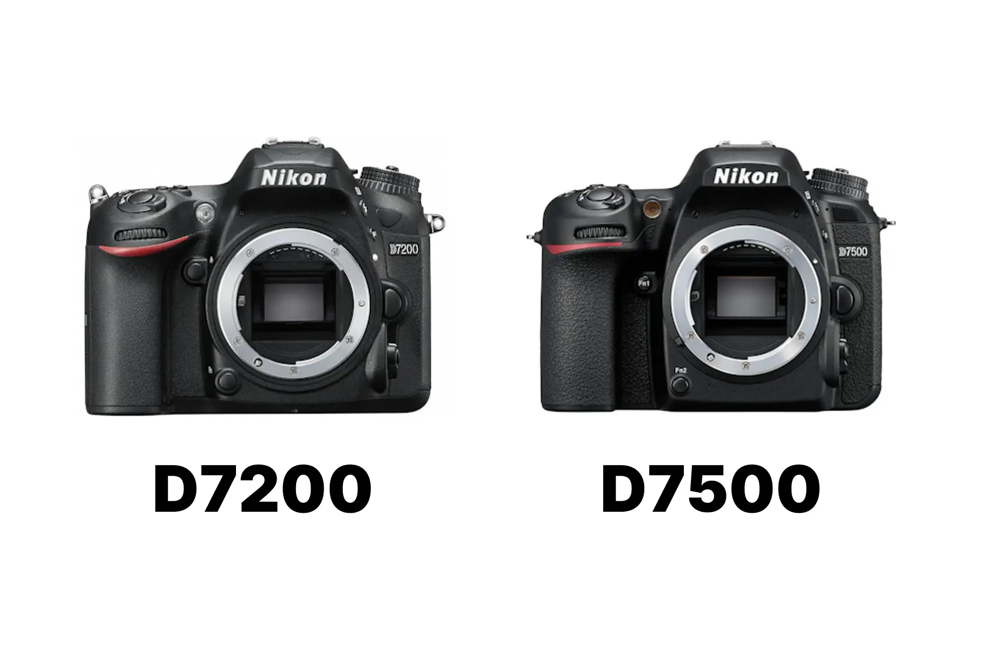 Nikon D7200とD7500を徹底比較！どっちを選ぶ？D7100との違いも早見表